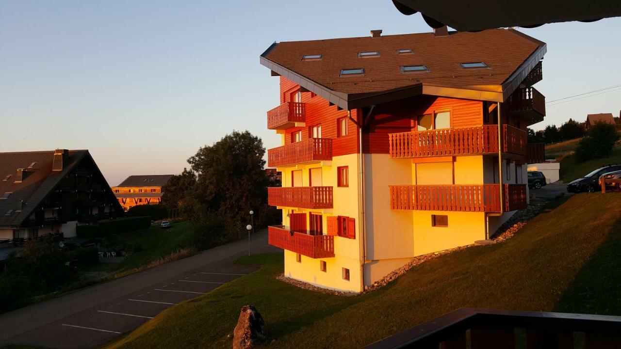 Chalet Le Télémark Thollon-les-Memises Exterior foto